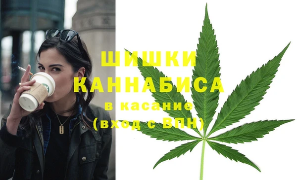 спиды Новозыбков