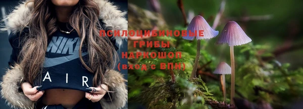 спиды Новозыбков