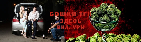 спиды Новозыбков
