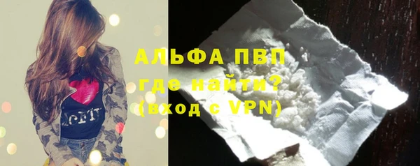 молекула духа Новокубанск