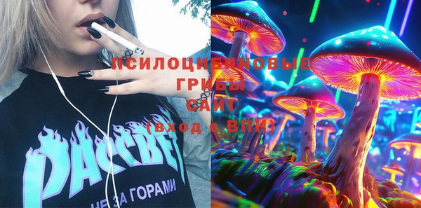 дурь Новодвинск