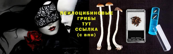 дурь Новодвинск