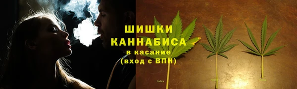 молекула духа Новокубанск