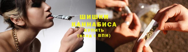 дурь Новодвинск
