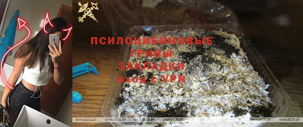 молекула духа Новокубанск