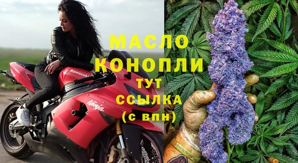 спиды Новозыбков