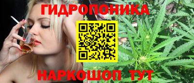 винт Пенза