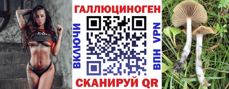 Псилоцибиновые грибы MAGIC MUSHROOMS  Хабаровск 