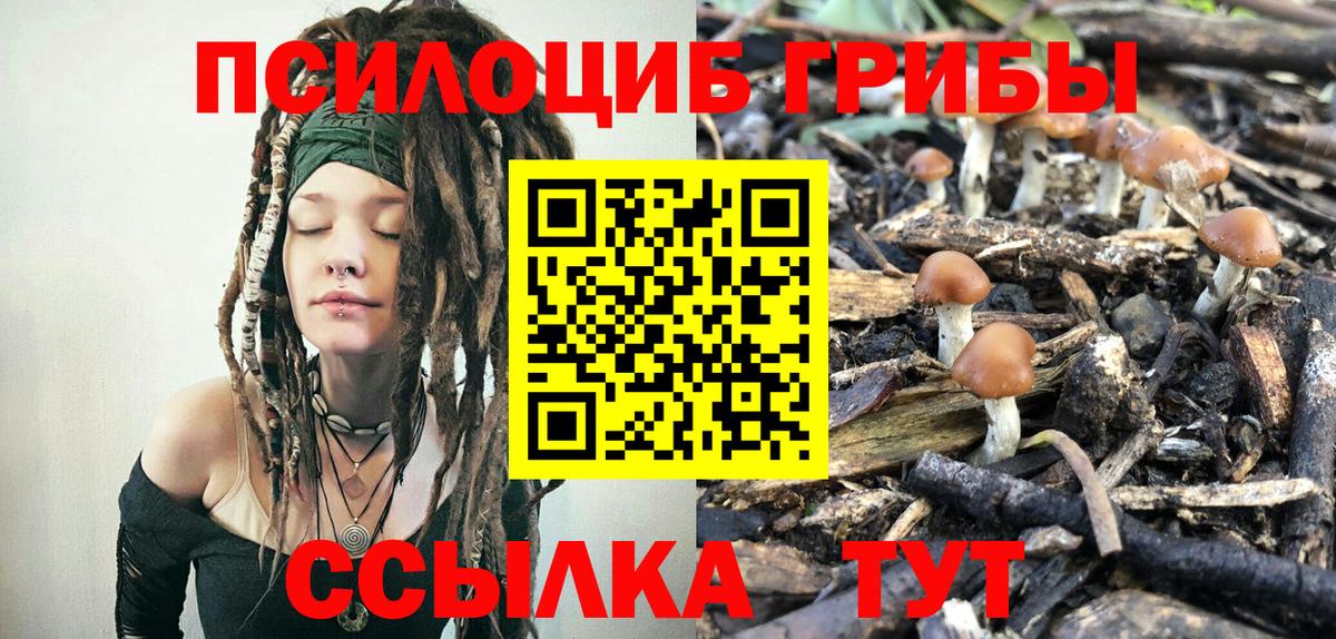 Псилоцибиновые грибы прущие грибы Хабаровск
