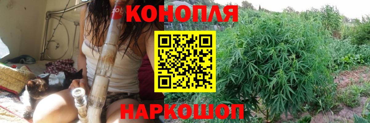 Каннабис индика Хабаровск